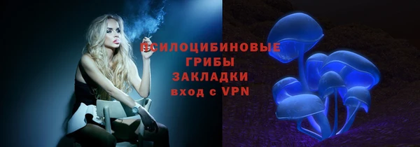 apvp Володарск