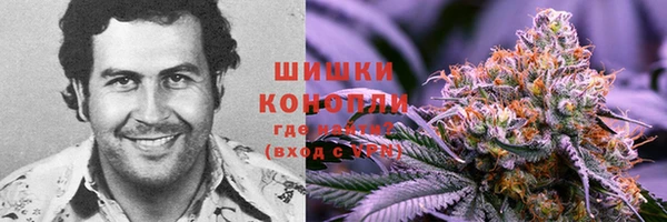 apvp Володарск